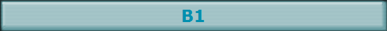 B1